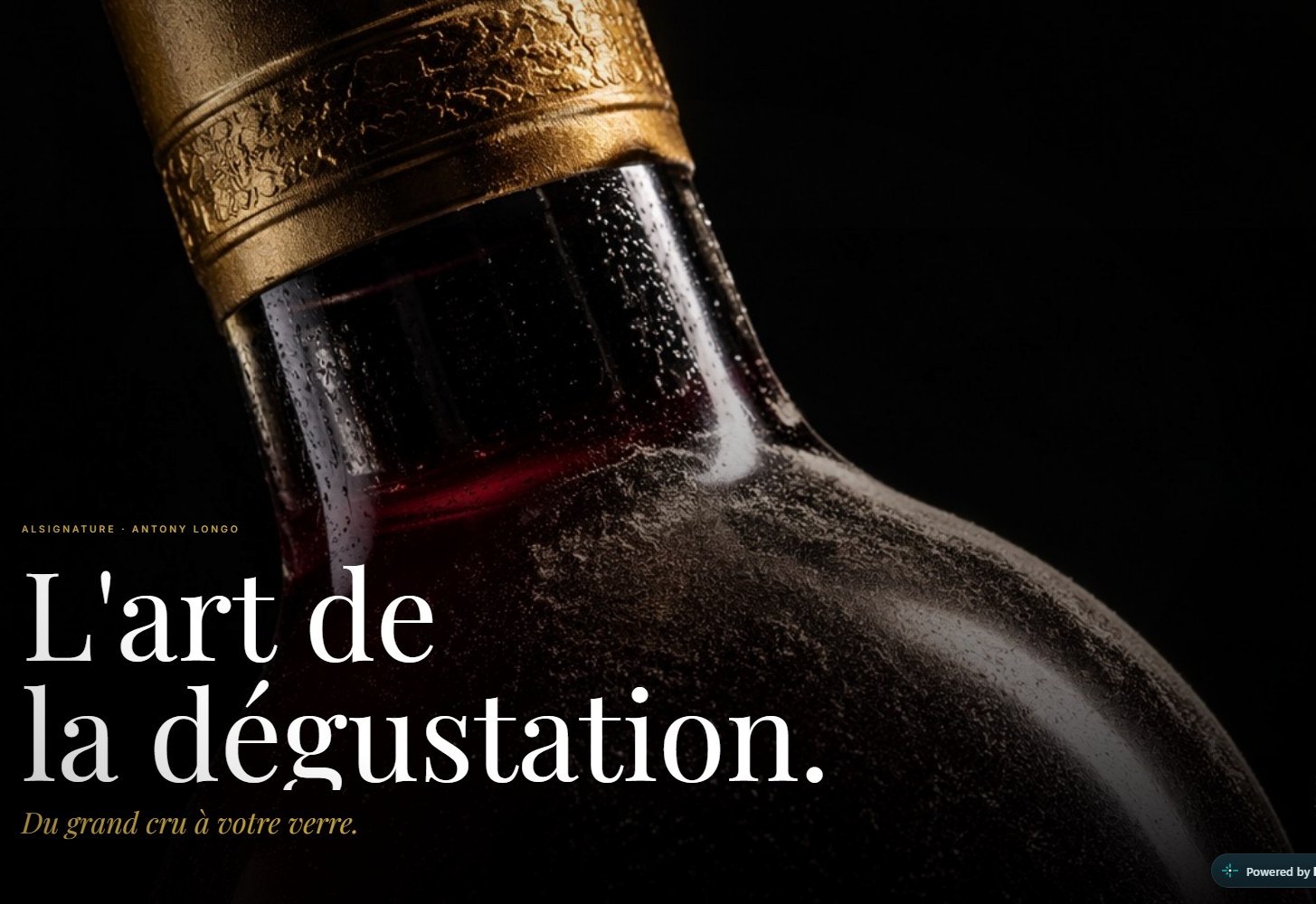 Aperçu du site Al-Signature